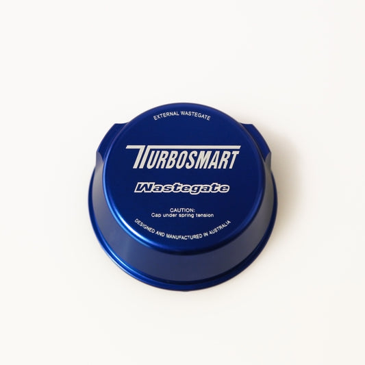 Gen4 WG38 UltraGate Top Cap Replacement - Blue